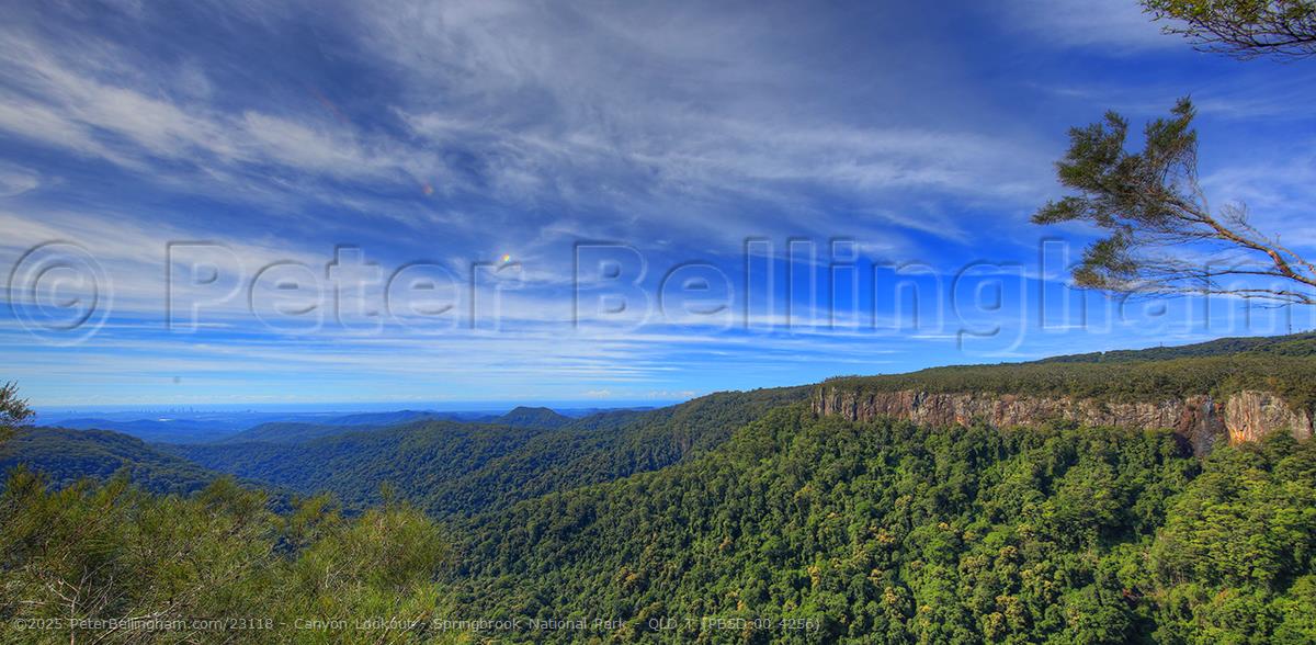 Peter Bellingham Photography Canyon Lookout - Springbrook National Park - QLD T (PB5D 00 4256)